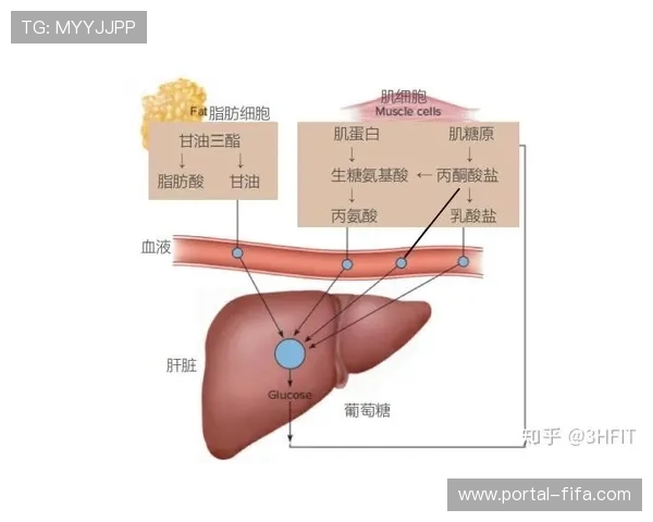 赛前糖原储备与局间电解质补充对运动表现优化的策略与应用 赛前糖原储备与局间电解质补充对运动表现优化的策略与应用